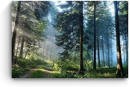 Startonight Стенно Изкуство Платно на Пътя в гората, Природен Пейзаж за Спалня Модел в кадъра 24x36 Инча