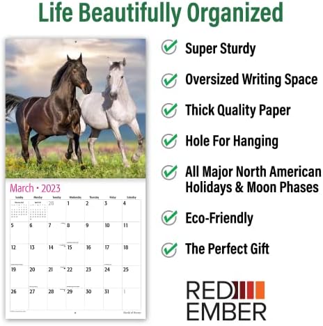 RED EMBER World of Horses 2023 Окачен Месечен стенен календар | 12 x 24 Открит | От дебела и твърда хартия | За подарък | Животни са Задължителни за любителите на коне