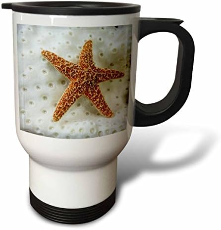3 Чаша за пътуване Морска звезда на коралите, 14 грама, Многоцветен